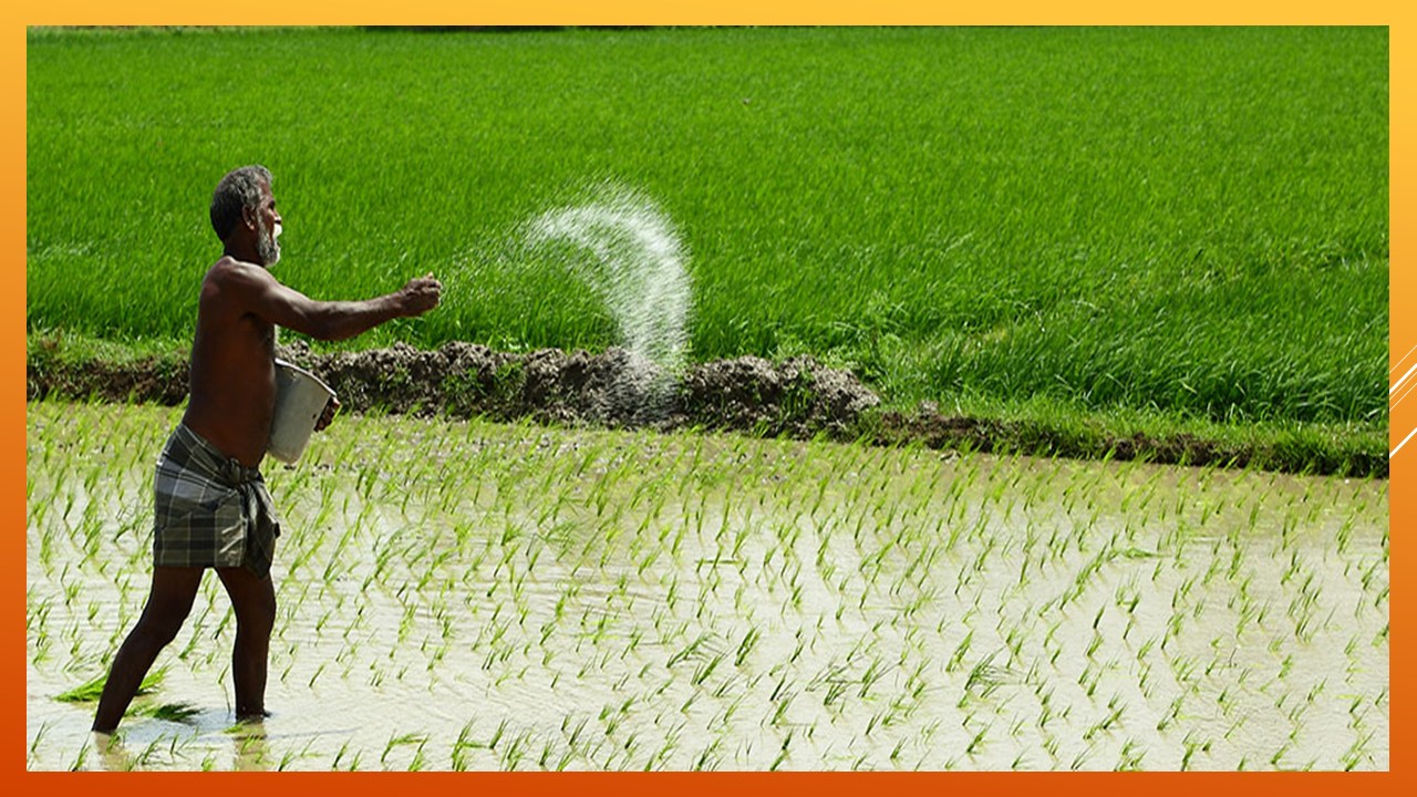 A critical analysis of the relationship between agricultural productivity and nutritional security in India