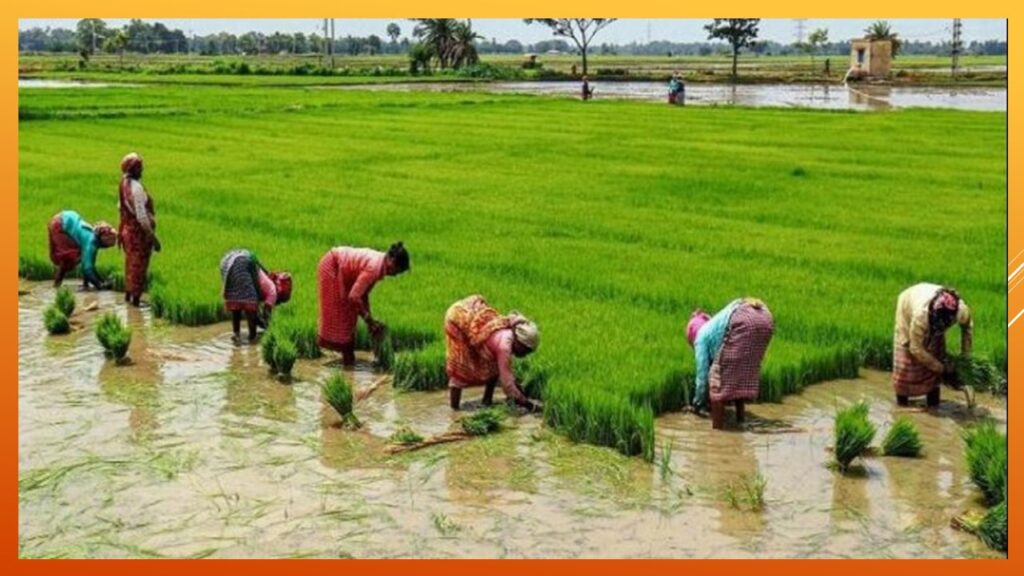 India's economy has shifted directly from agriculture to services